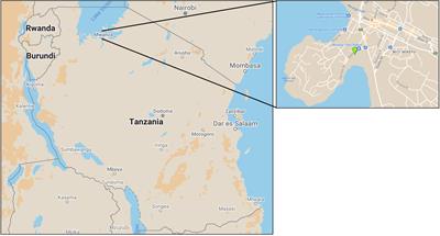 Investigating Farmer Perspectives and Compost Application for Soil Management in Urban Agriculture in Mwanza, Tanzania